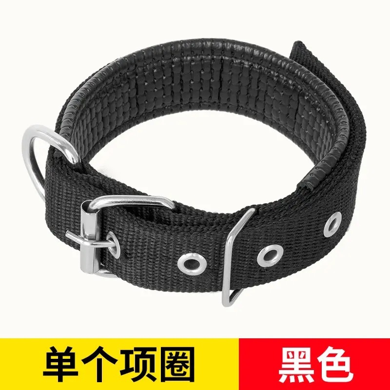 犬用プルオーバーネックカラー、テディゴールデンレトリバー、大型犬、小型犬、犬用リード、牽引ロープ、ペット用品|undefined