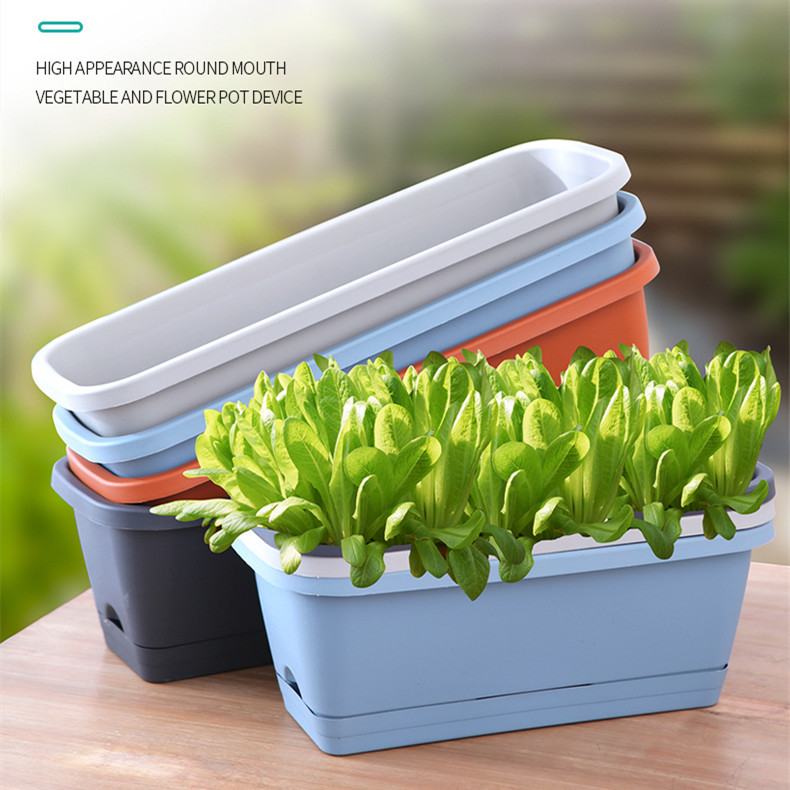 Balcón planta vegetal maceta plantación vegetal artefacto familia balcón vegetal rectangular tira de plástico maceta plantación