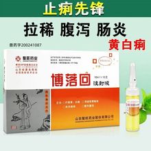 兽药博落回注射液止痢先锋兽用仔猪黄痢白痢抗菌消炎兽用羔羊痢疾