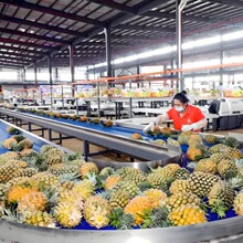 �S��ֱ�N���}֭������a��ˮ���Ԅӻ����Ʋ��}ե֭�O�����ܿ���