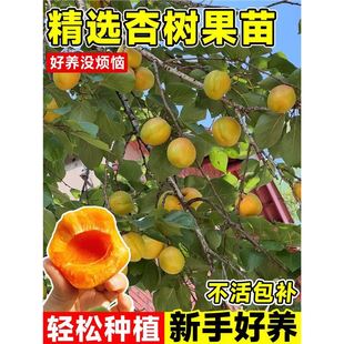 �����ӹ����ϱ������ԷNֲ�ش��Ә�������Լ޽�������䮔��Y��