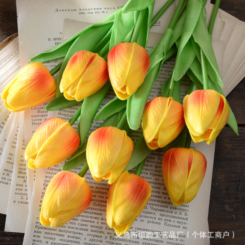 일몰 레드