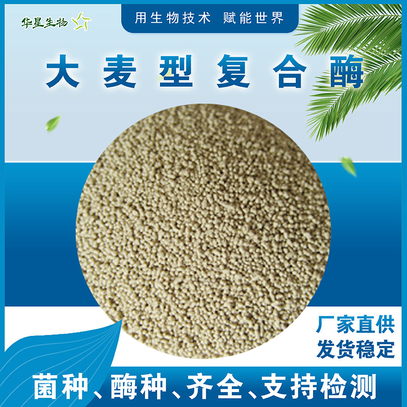 华星生物 大麦型复合酶 大麦生物酶制剂 养殖饲用饲料添加剂原粉