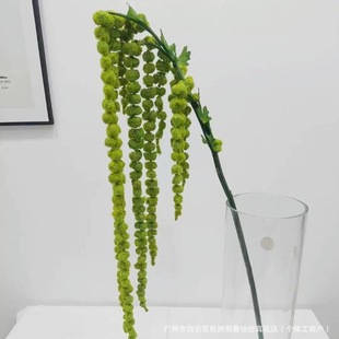 �Gֲ����ֲ�ﴹ�u�����˜I��ĭ�{���ٻ��ڒ��c�����b������z��