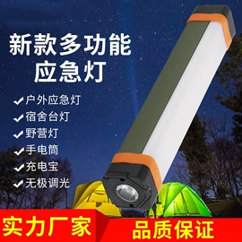 其他专用灯具;防爆灯;头灯头戴电筒