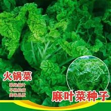 ·N~˷Nļ偲˰~ײ偰ܛϷ߲˷N