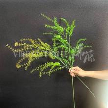 �Gɫ����ֲ��ǧ�Ӳݻ�c�bGֲ�͏d�����廨�[����֦�ٲݘ�֦