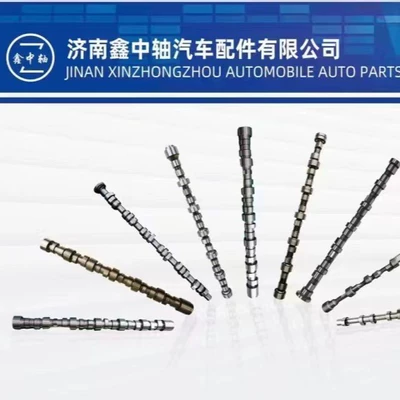 C13 Cos Fat5802481864-C13 – Crankshaft, camshaft