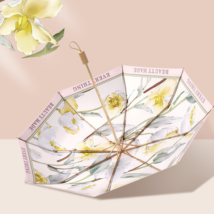 �������_ľ��8K���z�p���p�滨������Â����С���·�������⾀