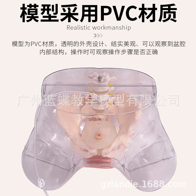 �߼���Ů��͸������ģ�͹೦ҽѧ�õ���������ģ���°�����������