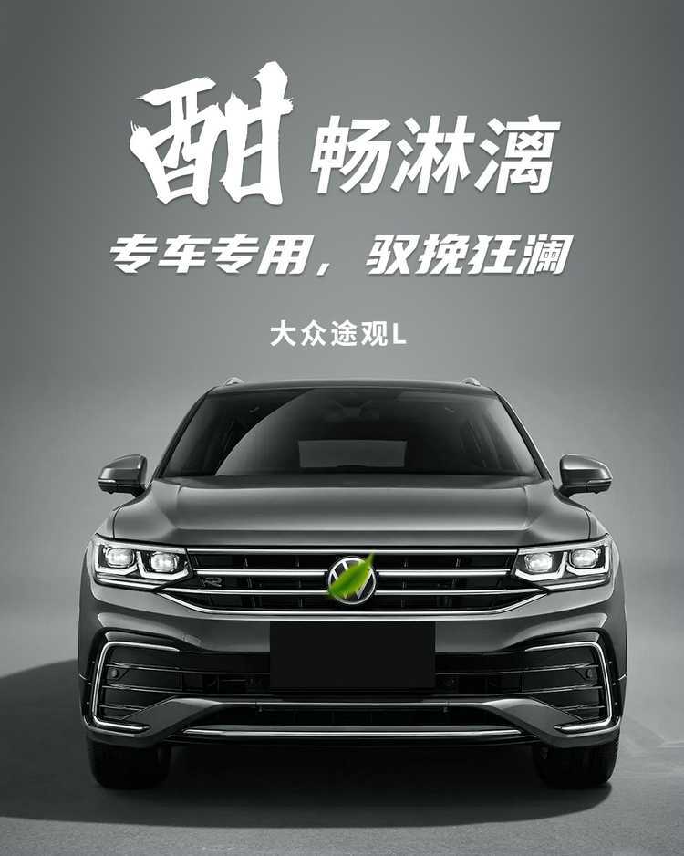 Volkswagen Tiguan L Seat Cover Encloses 21-25 Tiguan L Special Seat Cover Breathable Perforated Four Seasons Cushion Cover