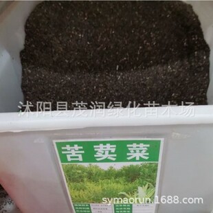 ���l���ݷN�ӿ���˷N�Ӹ߮a�� ���{�˷N���Bֳ�Z �u �� �~ �� �i