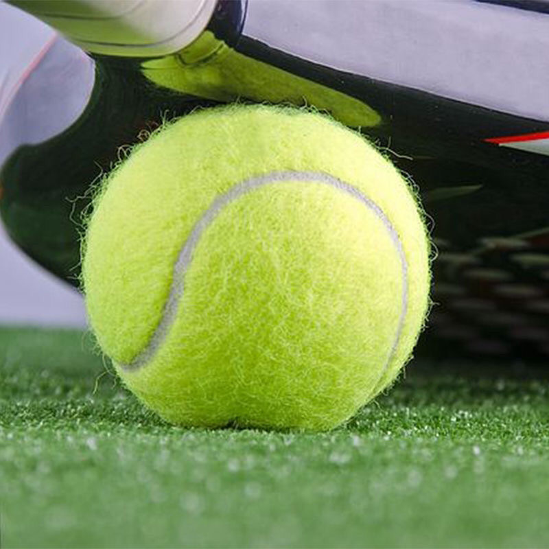 网球高弹性初学者耐打训练耐磨初中级比赛按摩玩具宠物球一件批发详情39