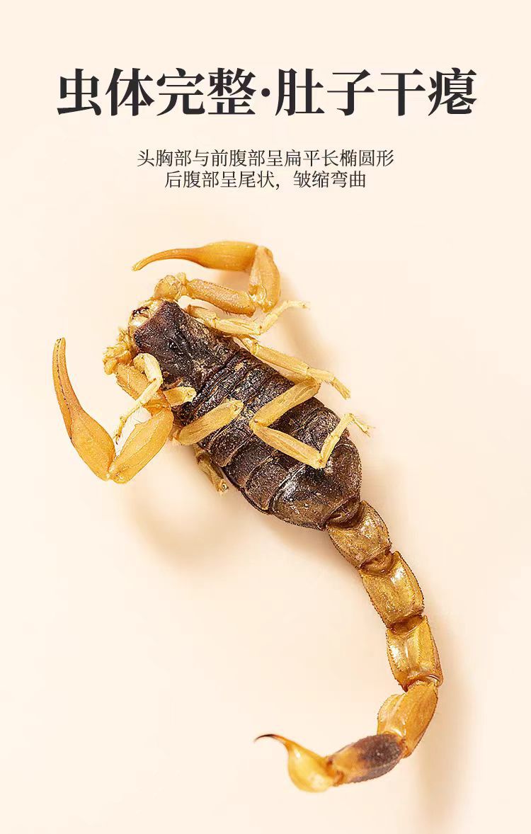 Quan Xie (Scorpion, Buthus martensii) — Dried Whole Scorpion, Food-Grade Herb for Decoction in use