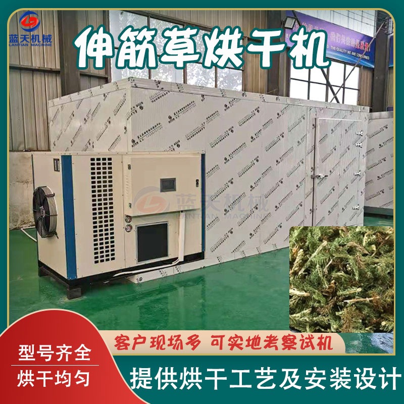 空气能伸筋草烘干机 智能舒筋草狮子尾除湿干燥机 狮子草烘干设备