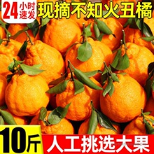 ���ٳ�˹�10�ﮔ�����rˮ�����ӱ�Ƥ�Ұ����γ�̳����������