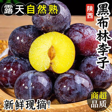 �S��ڲ����������r��ˮ���t�����Ӯ����ڲ����S�������������]