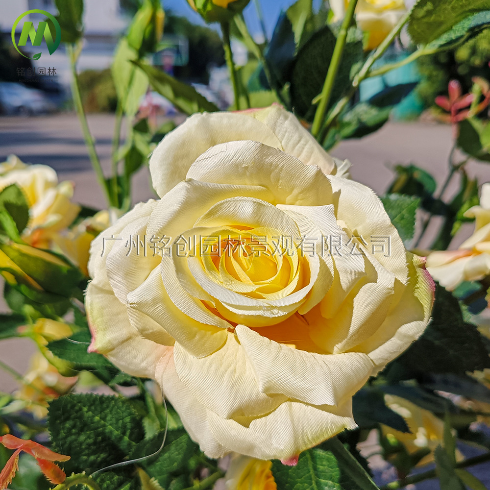 Simulación de plantas verdes, plantas en macetas, árboles de rosas, muebles para el hogar, fotografía de bodas, accesorios, decoración, fabricantes de plantas en macetas de rosas