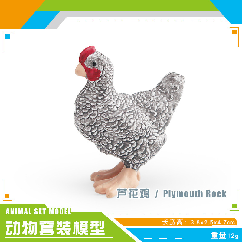 Pl127 - 4064 pollo luhua 12g