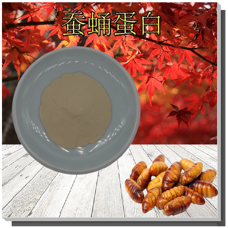 蚕蛹蛋白粉支持检测蚕蛹蛋白肽粉无中间商1kg起批蚕蛹提取物