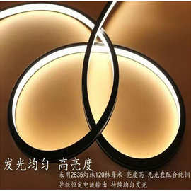 黑色硅胶LED灯带低压防水室内户外灯条柔性可弯曲造型软线型灯带