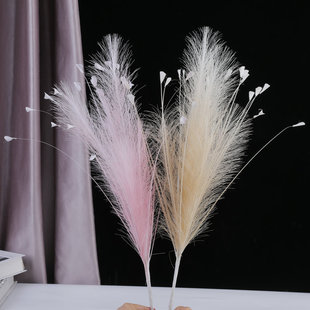 �����JȔ��ȸ�ݷ��滨�ܻ�ˇ��Y��c�쾰�b��JȔ�~���[�ݟ�����