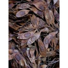 �S����N�����ں����S�����N�� �S̴��N�� ����ľ����ľ��tľ