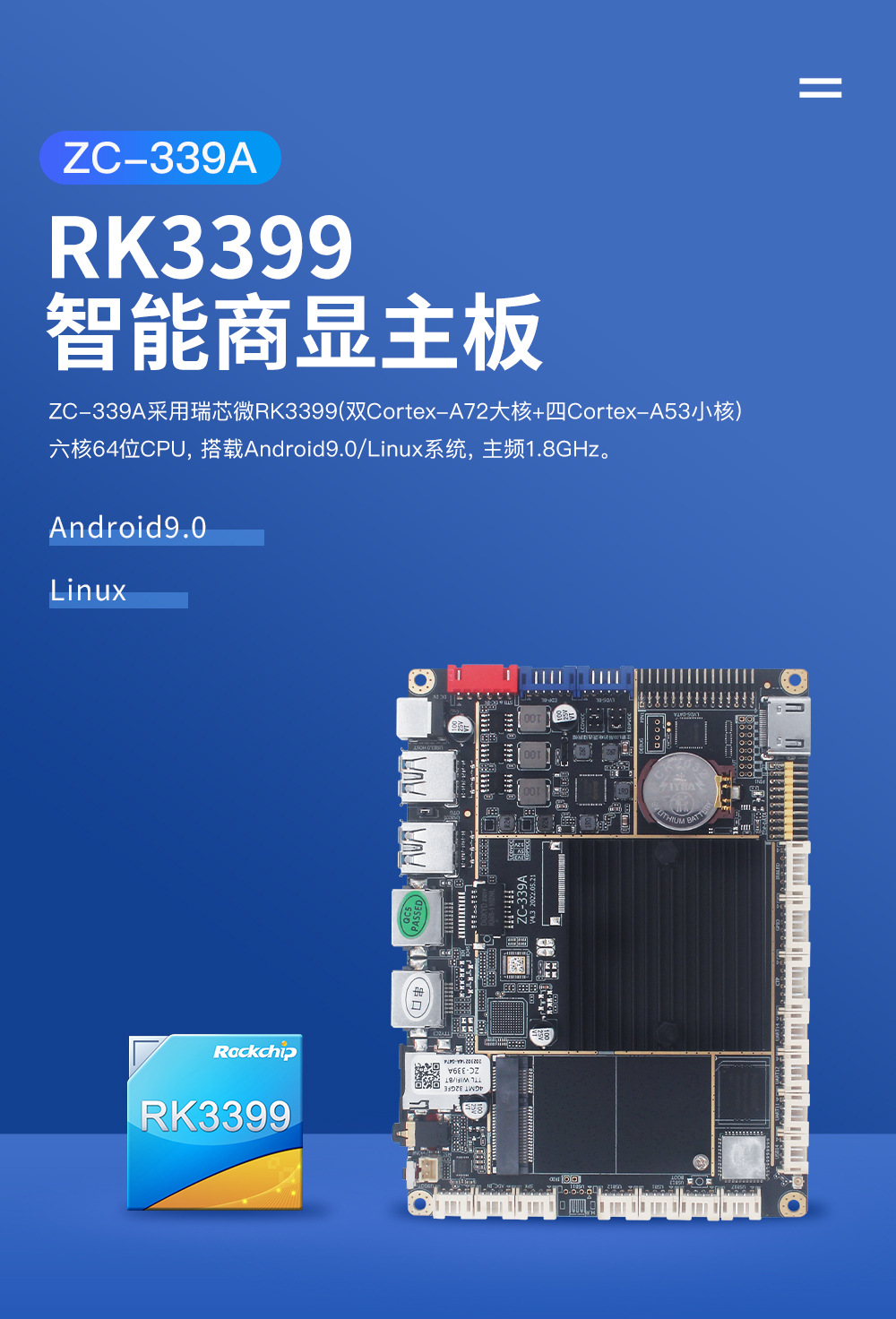 339a_01.jpg