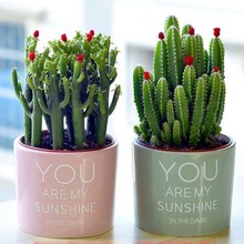 ����ֲ���������������ֻ��ܺ��B��ĳȩ��ؔ���҃ȾGֲ��X��