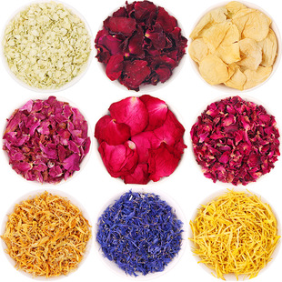 ���l�bɻ�õ�廨���z�ʾջ���ʸ܇�ջ����K������ɢ�b��Ƭ