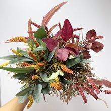 ������β�ݱ��W�Ҿ��bٻ�����~���l��c���÷�����ɫ�廨�[��