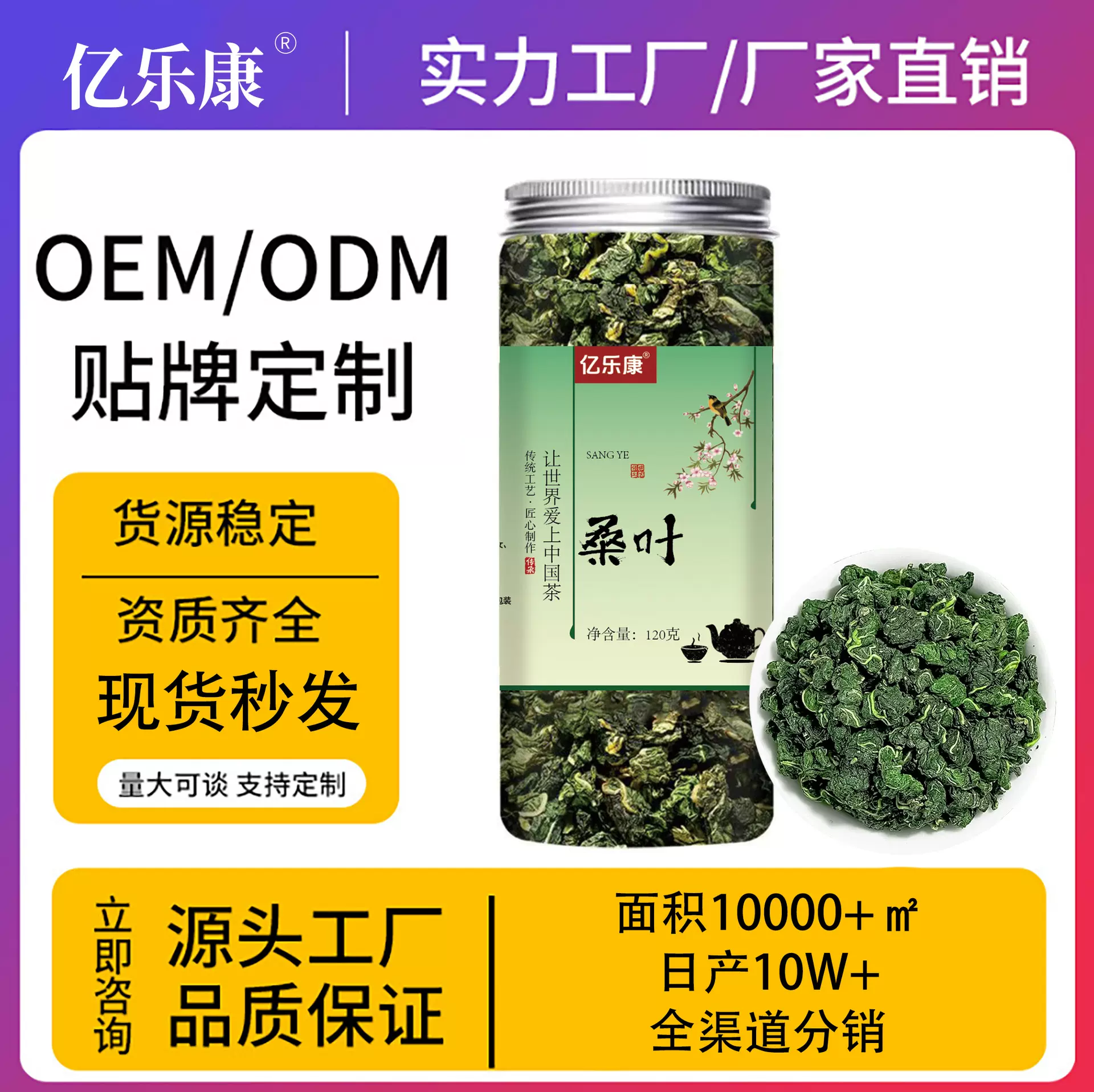 桑叶120g罐装嫩叶采摘无糖代用茶新货无硫无熏各类规格天然野生