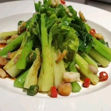 新鲜特色蔬菜云南高原水果青芹芽西芹嫩芽餐饮特色食材500g清芹芽
