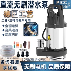 DC ブラシレス水中ポンプ家庭用電気バッテリー車 12V24V48-72V 高揚程農業灌漑ポンプ