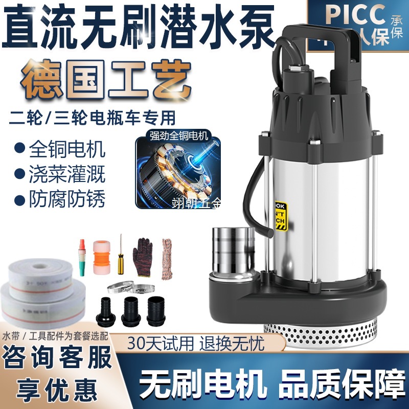 直流无刷潜水泵家用电动电瓶车12V24V48-72V高扬程农用灌溉抽水机
