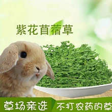 �ϻ���ޣ��Ħ����������؈���m�i�������Zĥ�������