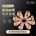 矿物电缆终端头YTTW柔性铜护套矿物质绝缘防火电缆三四五芯接地卡