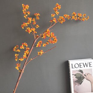 ���滨�W�t��������С�t��֦�ҾӾƵ�e���Ӱ��g������ˇ�ɻ��b�