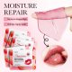 Full English FAYANKOU Strawberry Moisturizing Lip Mold Moisturizing Lip Mold Care Lip Balm Cross-border Foreign Trade Wholesale