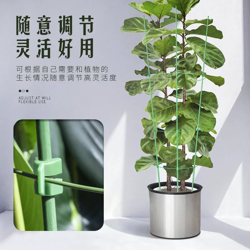 Timeto -когда л 클imbing Flower Gardening Pillar Balcony Green Rose Rose Rose Tienine Lotus Teng Botan Plants Climbing Crab Claw Support Ring