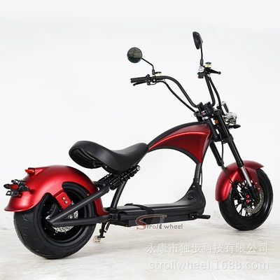 Elektrikli motosikletlər, Electric Motorcycle City Riding