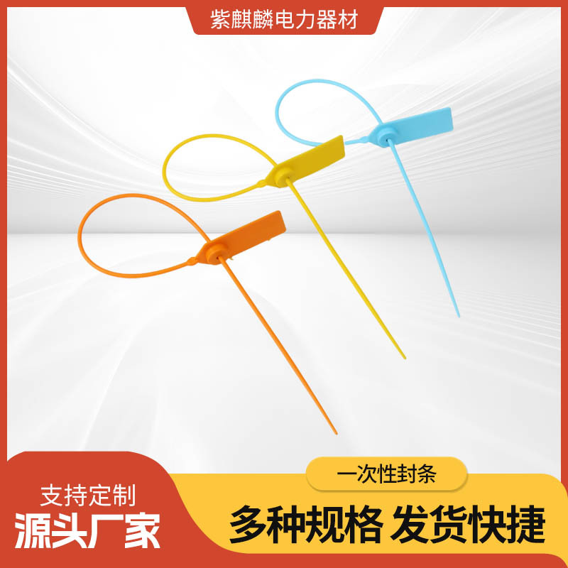 铅封一次性塑料封条带标牌扎带塑料封签施封锁防伪防盗防调包扣