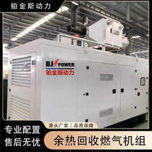 1MW������Ȼ��l늙C�M���b��ʽ �����Ё����_˹����������b��