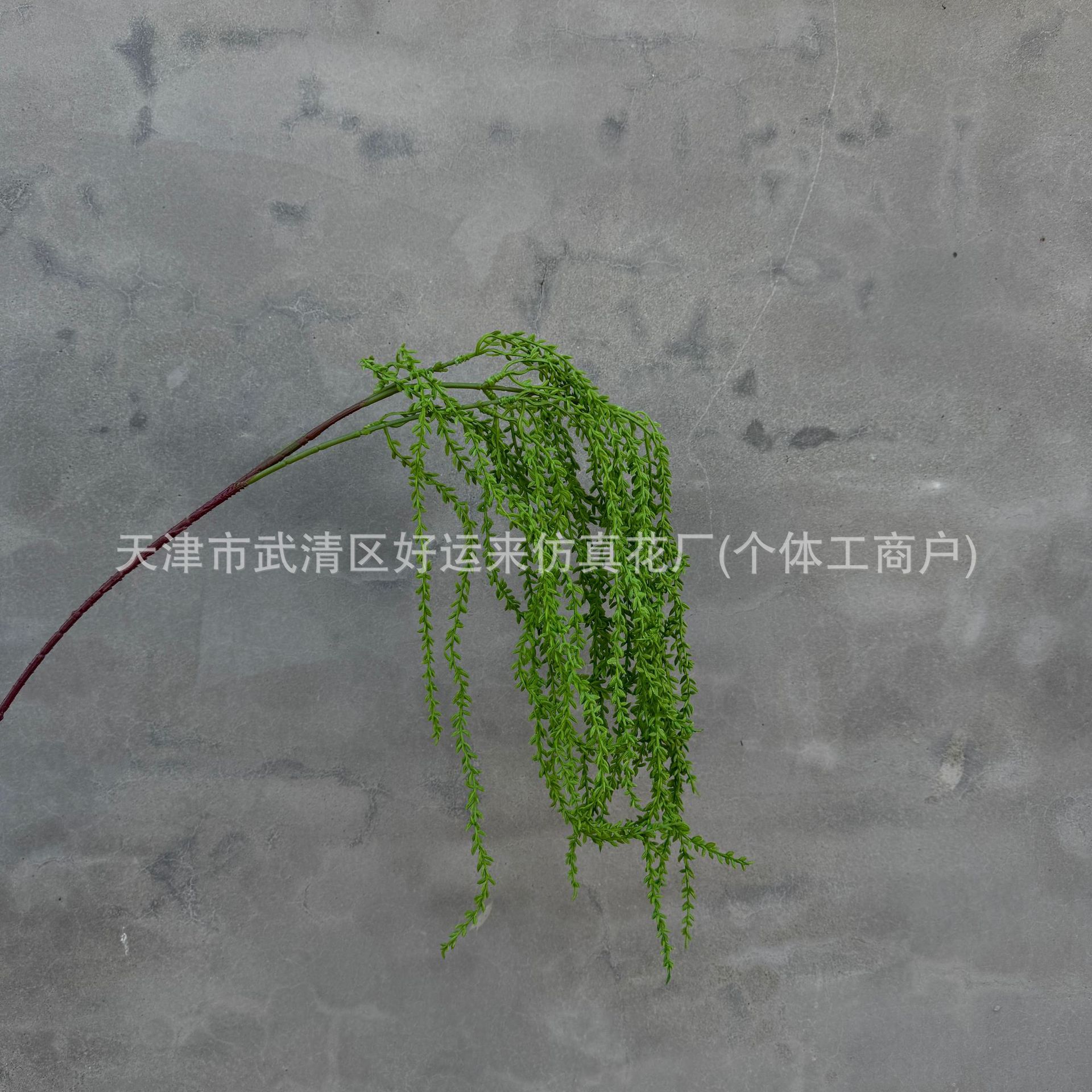 연인의 눈물 연두색