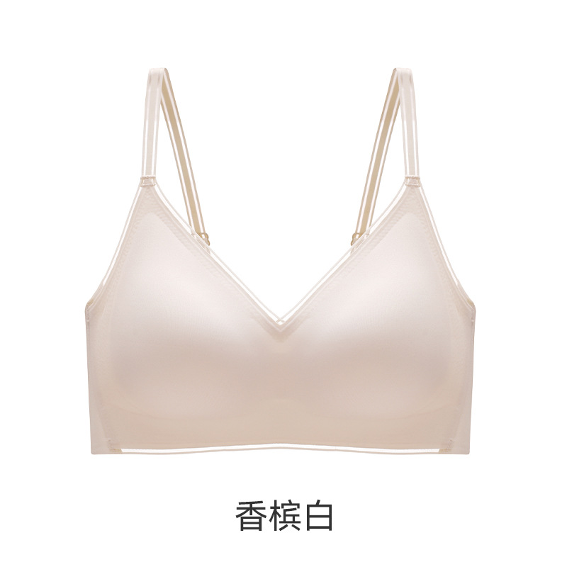 샴페인 화이트