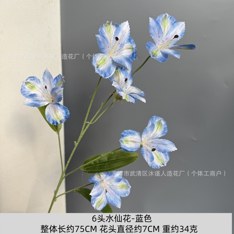 수선화 6송이