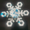 TS8-Ice and Snow Ice Crystal