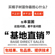 �������ۘ��粻֪����ٴ�Ҋ��˹����θ̘���ո���������