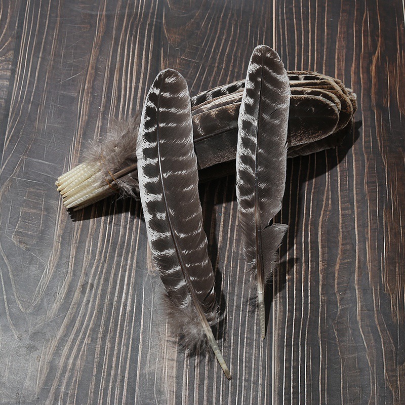 b85a895d606a85fd9557d60b2f4e6f