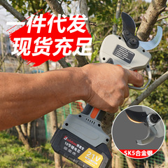 剪定リチウム電気はさみ電動ハサミ果樹園芸粗枝充電携帯園林剪定卸売り対外貿易
